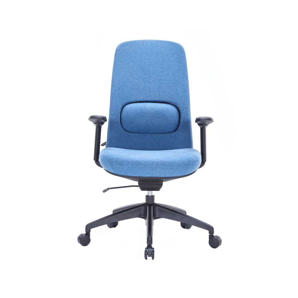 ZY-6815 Back height adjustable office chair