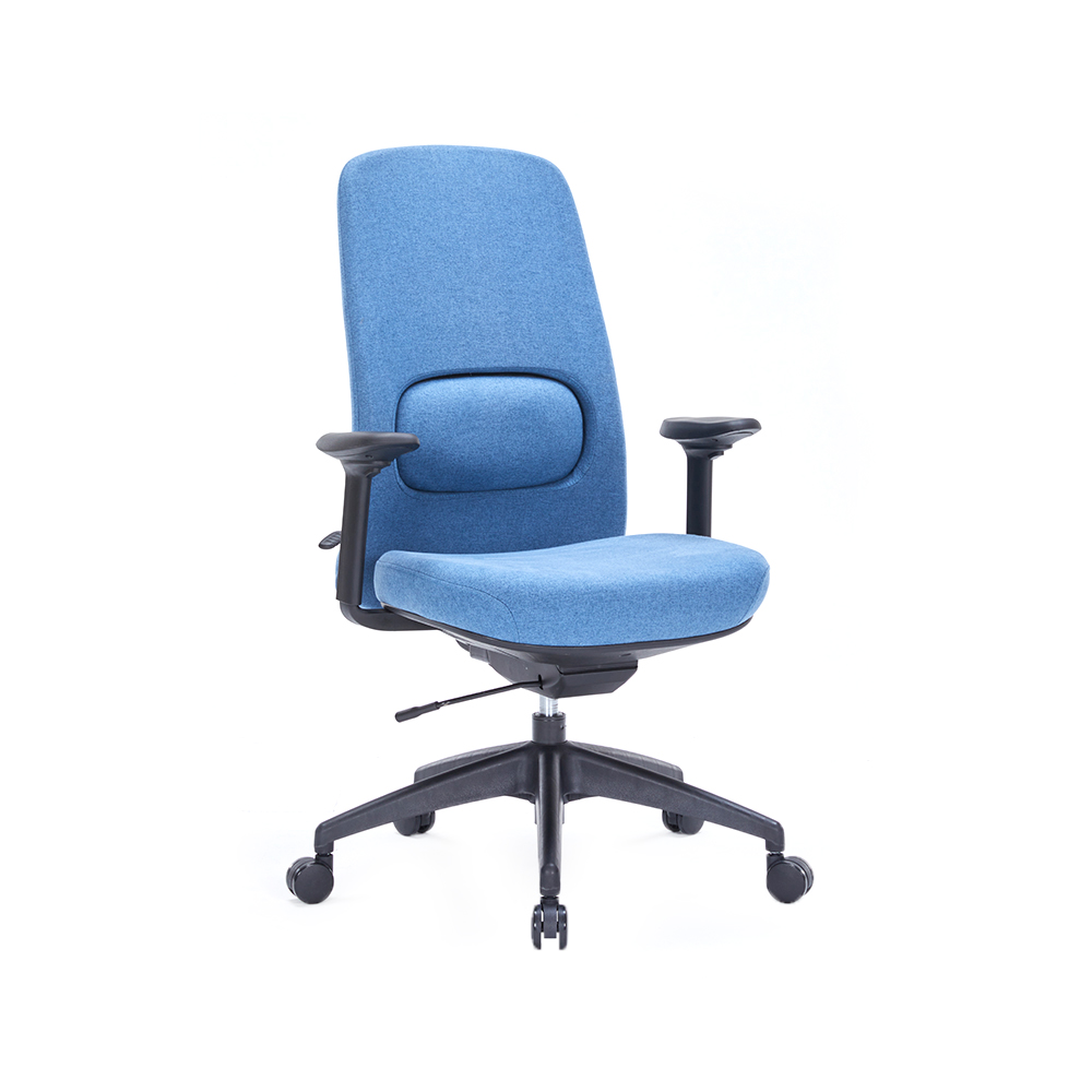ZY-6815 Back height adjustable office chair