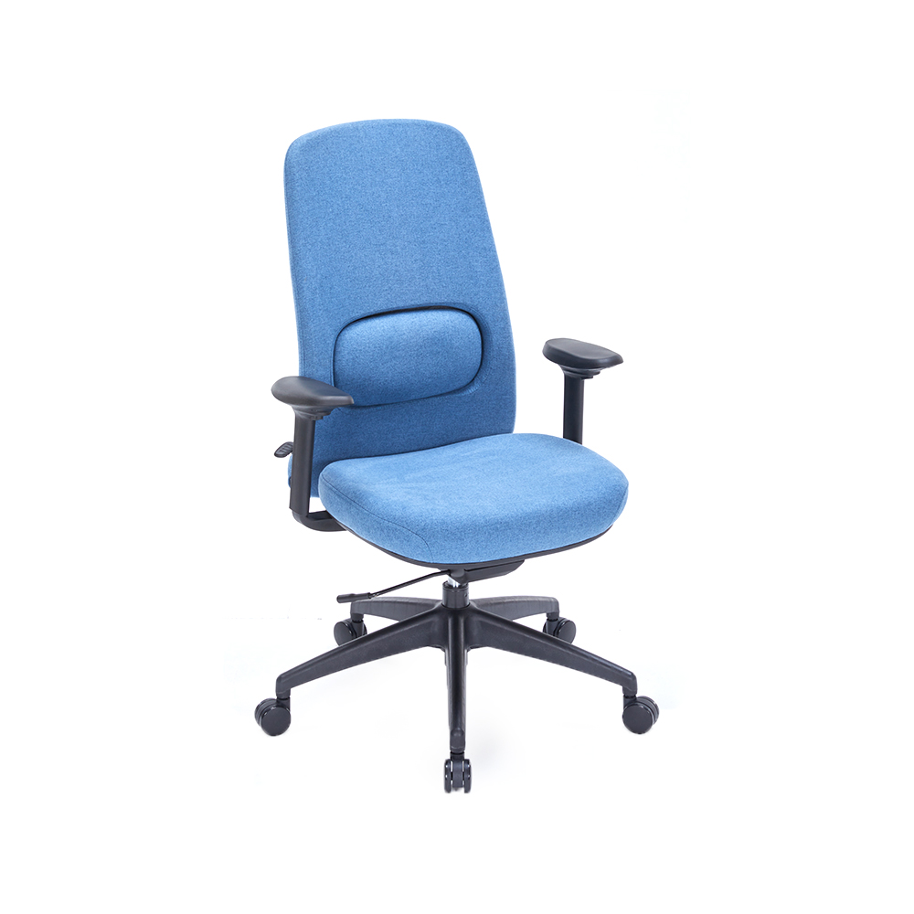 ZY-6815 Back height adjustable office chair