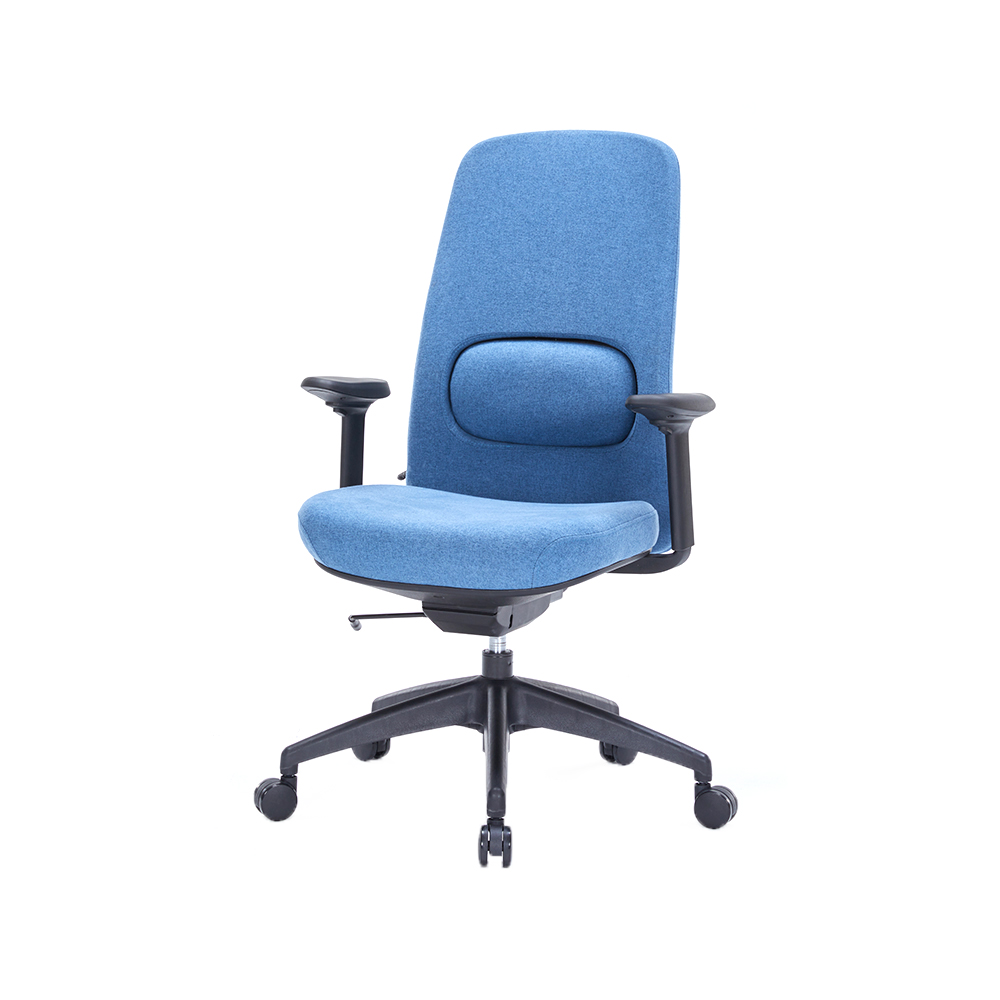 ZY-6815 Back height adjustable office chair