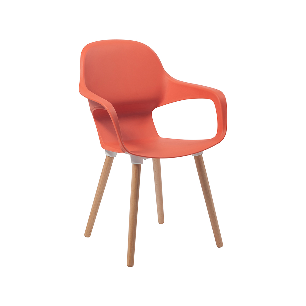 ZY-9000-1 All Plastic dining chair