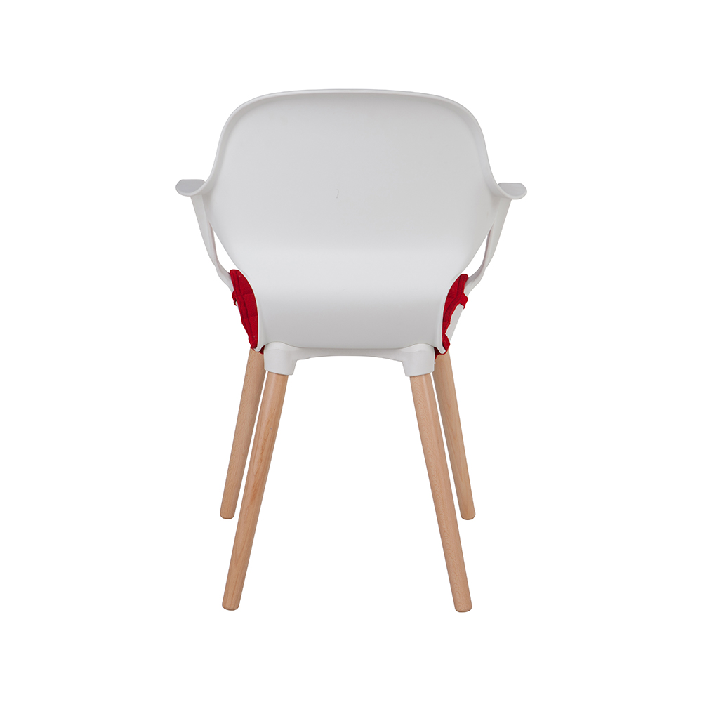 ZY-9000-1 All Plastic dining chair
