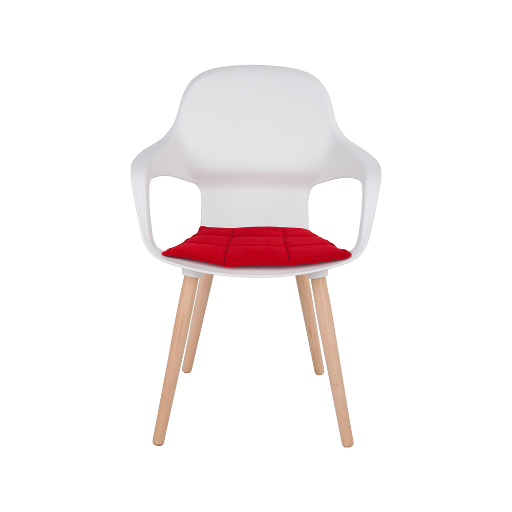 ZY-9000-1 All Plastic dining chair