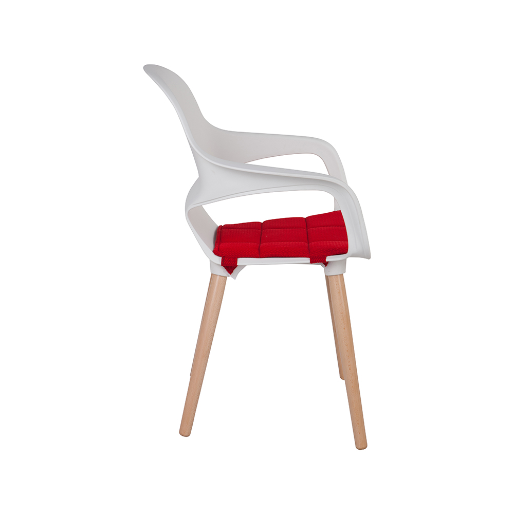 ZY-9000-1 All Plastic dining chair