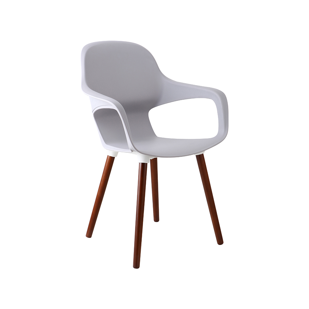 ZY-9000-1 All Plastic dining chair