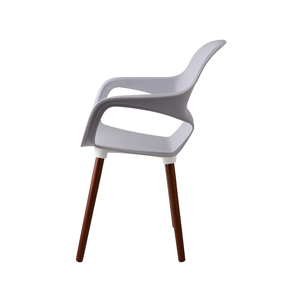 ZY-9000-1 All Plastic dining chair
