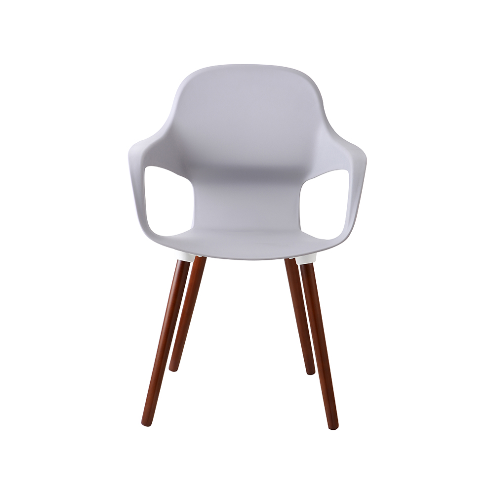 ZY-9000-1 All Plastic dining chair