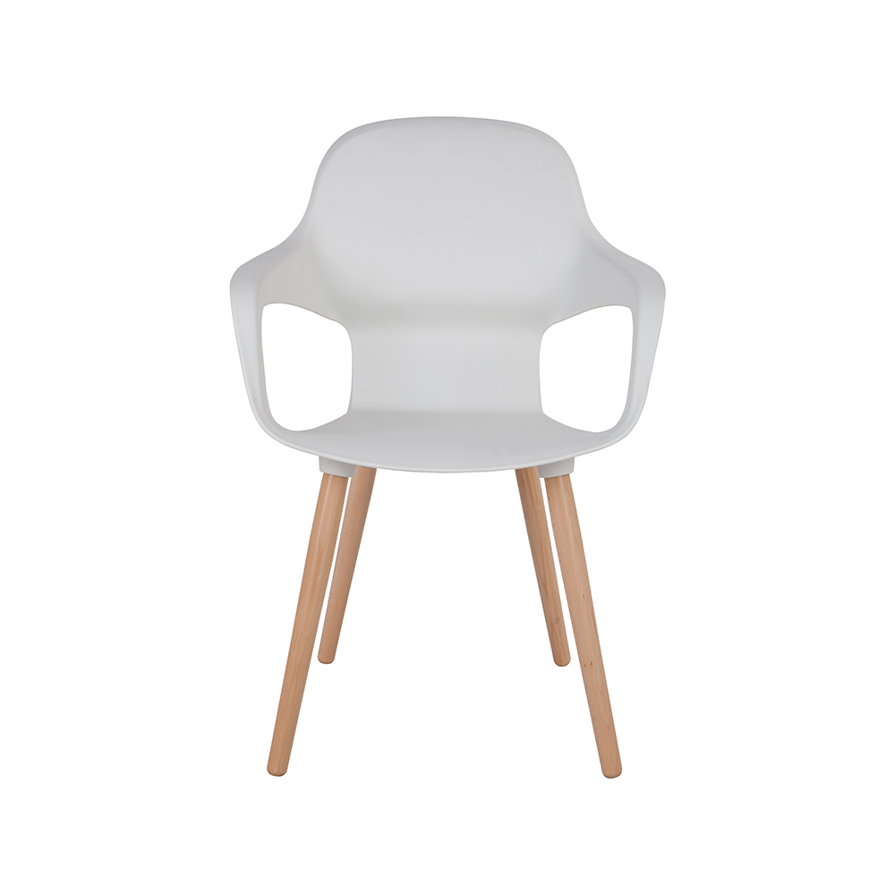 ZY-9000-1 All Plastic dining chair