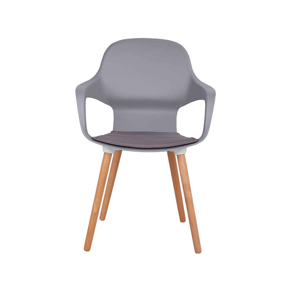 ZY-9000-1 All Plastic dining chair