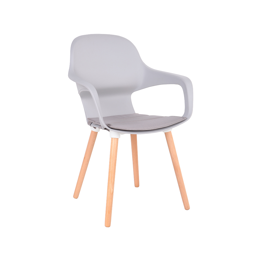 ZY-9000-1 All Plastic dining chair
