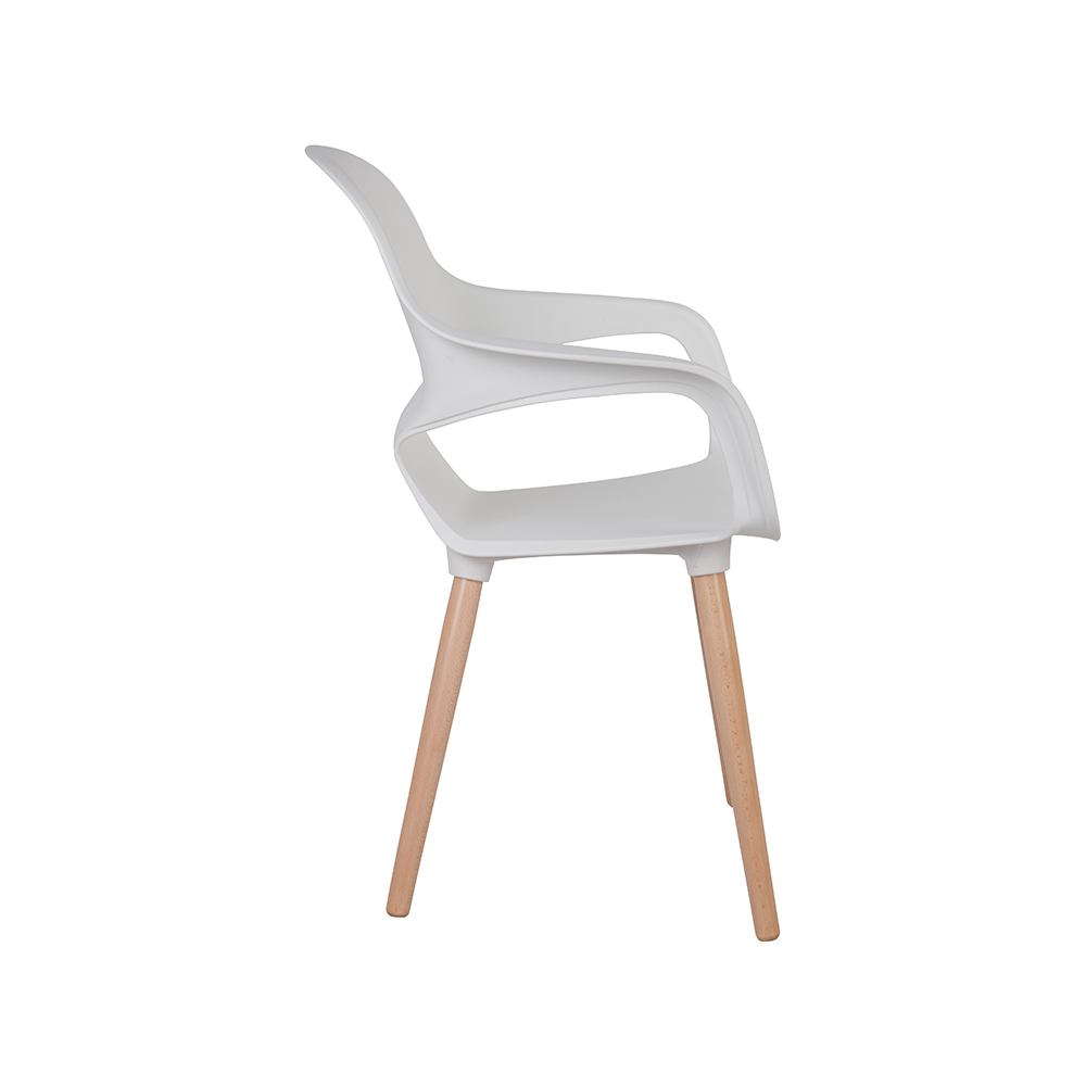 ZY-9000-1 All Plastic dining chair