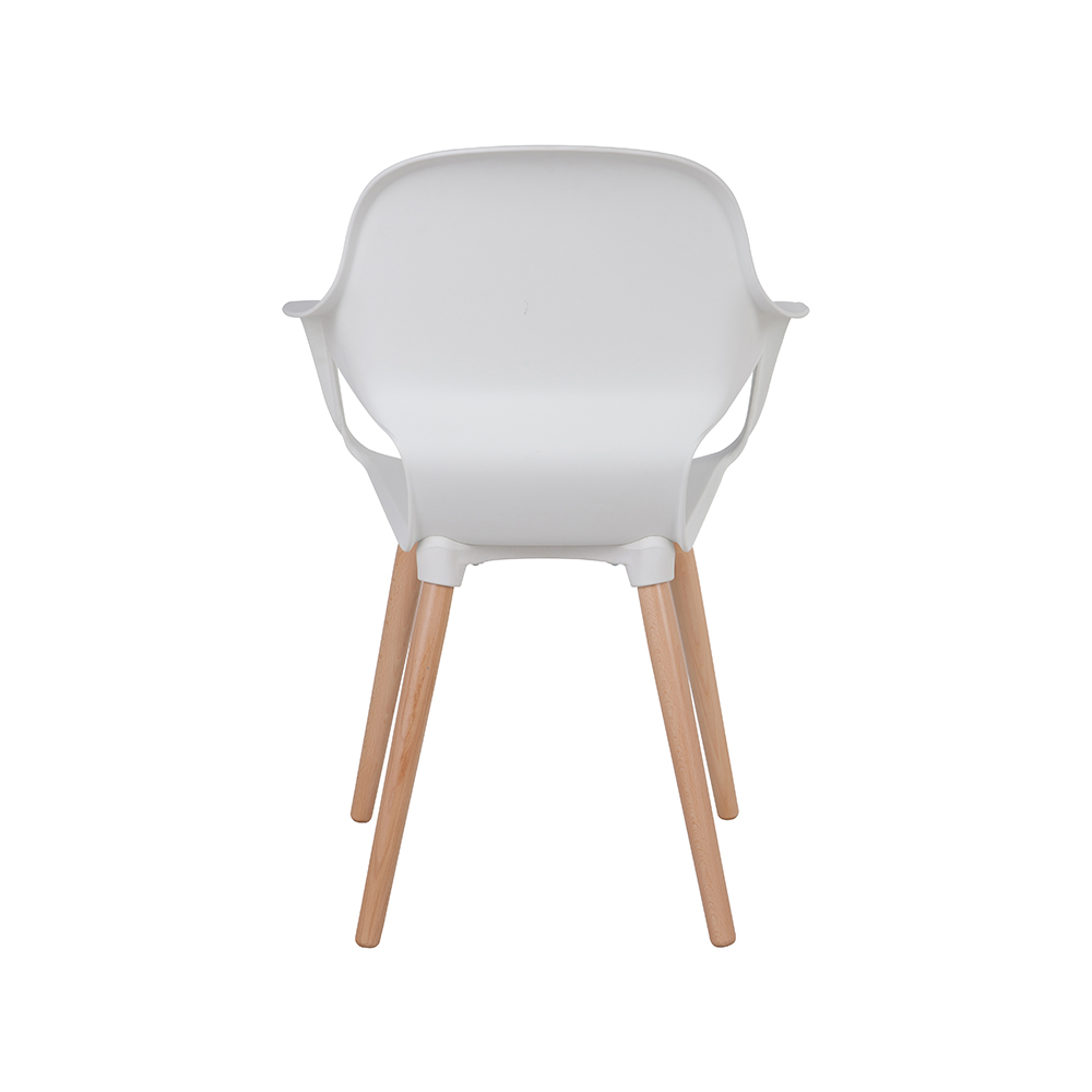 ZY-9000-1 All Plastic dining chair