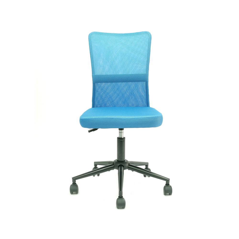 Elevating Workplace Ergonomics: The Essential Role of Adjustable Office Chairs